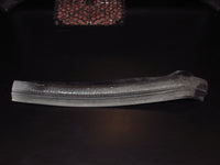 79-85 Mazda RX7 OEM Headlight Weather Stripping Rubber Seal - Left